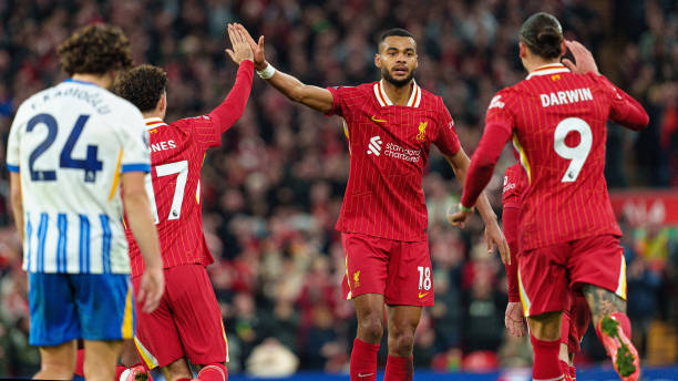 也左右着球 也左右着球