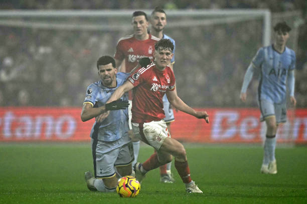 哈兰德的国 哈兰德的国